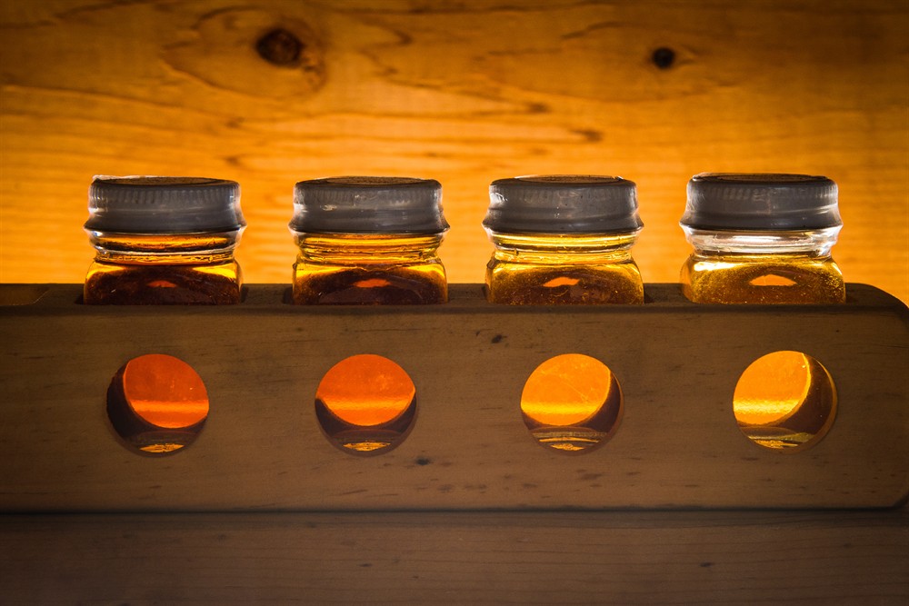 Maple Sugar Tour at von Trapp Family Lodge and Resort